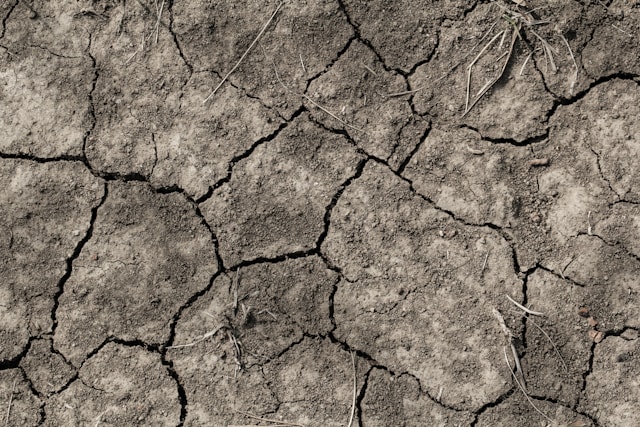 5-onnenpiv-horoskooppimerkin-mukaan